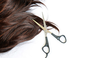 Image showing Brown hair and scissors