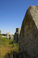 Image showing Menhir in Carnac-Brittany