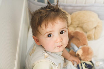 Image showing rough hair