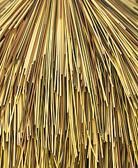 Image showing Multi color bamboo cane 