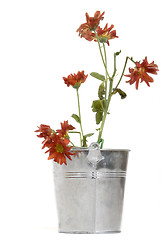 Image showing wilted flower planter 