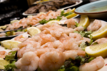 Image showing Shrimp Scampi