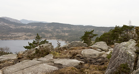 Image showing stony coast in norway