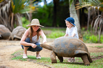 Image showing Feeding Giant Turtle