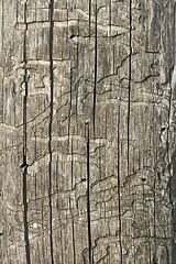 Image showing Old wooden damaged surface