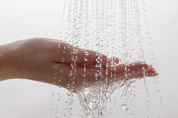 Image showing Water from Shower Drops on Palm