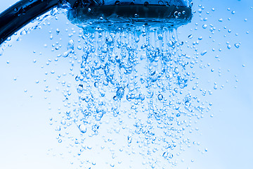 Image showing Shower Head with Running Water