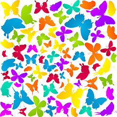 Image showing Butterflies in colors