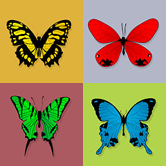 Image showing Four butterflies