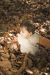 Image showing toddler playing in leaves