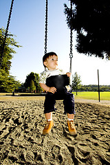 Image showing swing