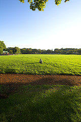 Image showing alone in a field