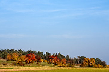 Image showing Autumn Scenery