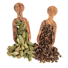 Image showing Cardamom Pods and Seeds