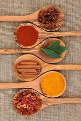 Image showing Herbs and Spices