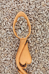 Image showing Sunflower Seed