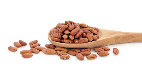 Image showing Pinto Beans