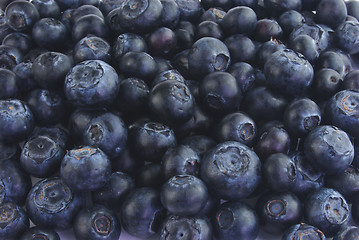 Image showing Lots of blueberries