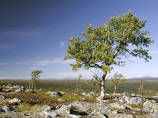 Image showing Landscape