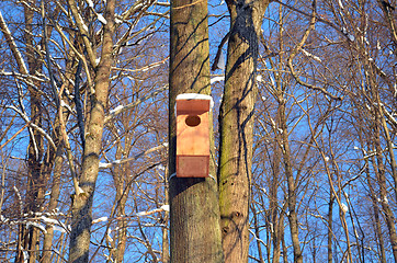 Image showing Large wooden nesting-box hanging on tree blue sky 