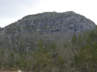 Image showing mountain with forest