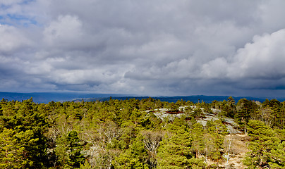 Image showing view over forest with cloudy sky