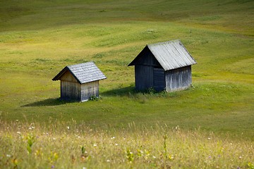 Image showing Alpine Field