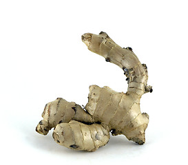 Image showing Gnarled Ginger Root