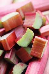 Image showing fresh rhubarb