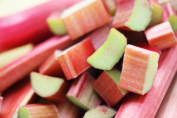 Image showing fresh rhubarb