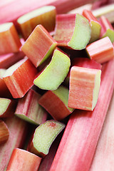 Image showing fresh rhubarb