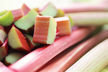 Image showing fresh rhubarb