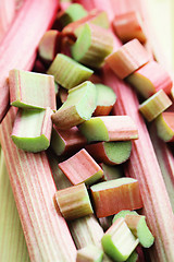 Image showing fresh rhubarb