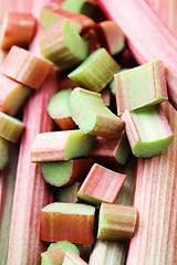 Image showing fresh rhubarb