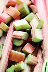 Image showing fresh rhubarb