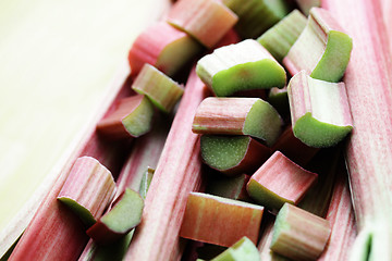 Image showing fresh rhubarb