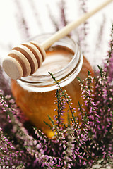 Image showing herbal honey 