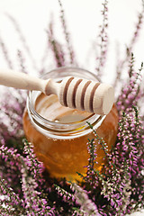 Image showing herbal honey 