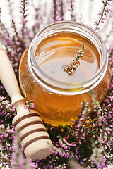 Image showing herbal honey 