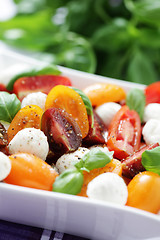 Image showing tomato and mozzarella salad