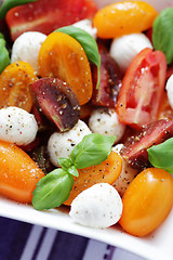 Image showing tomato and mozzarella salad