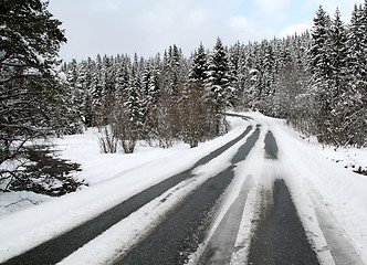 Image showing Winter road