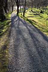 Image showing Summer walk