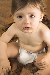 Image showing baby  sitting on leaves