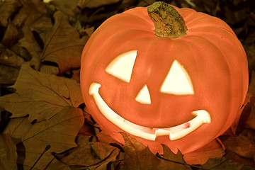 Image showing pumpkin