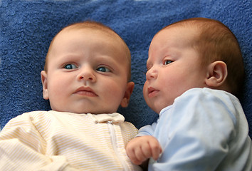 Image showing Twin baby boys