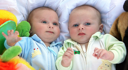 Image showing Two baby boys twin brothers