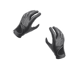 Image showing Leather motorcycle gloves with carbon fiber protection