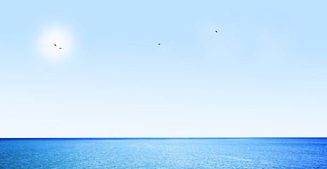 Image showing Blue sky, ocean and flaying birds