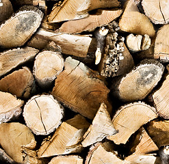 Image showing Pile of wooden logs background